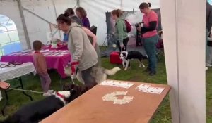 Premier salon du bien-être animal pour la LPA du Calaisis