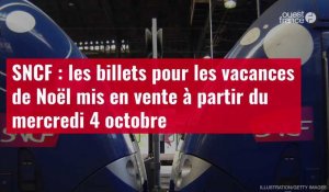 VIDÉO. SNCF : les billets pour les vacances de Noël mis en vente à partir du mercredi 4 octobre
