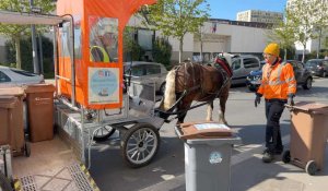 Stains (93) : Un cheval pour collecter les déchets alimentaires du quartier