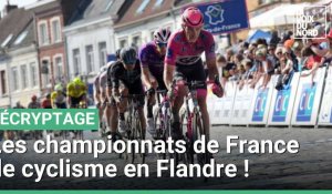 Les championnats de France de cyclisme en Flandre du 22 au 25 juin
