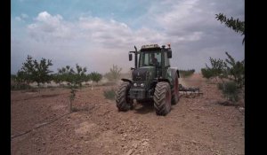 Espagne : les fermiers andalous luttent contre les parcs solaires