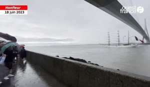 VIDÉO. Armada de Rouen : le voilier mexicain "Cuauthémoc" passe sous le Pont de Normandie