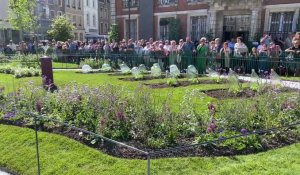 Boulogne : le nouveau jardin éphémère dévoilé en vieille-ville