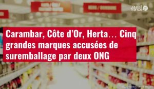 VIDÉO. Carambar, Côte d’Or, Herta… Cinq grandes marques accusées de suremballage par deux ONG