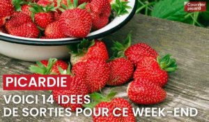Que faire ce premier week-end des 1er et 2 juillet 2023 en Picardie ?