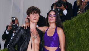 Camila Cabello et Shawn Mendes : à nouveau séparés ?