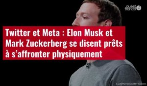 VIDÉO. Twitter et Meta : Elon Musk et Mark Zuckerberg se disent prêts à s’affronter physiquement