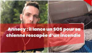Annecy : il lance un SOS pour sa chienne rescapée d'un incendie