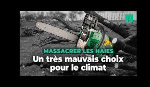 Les haies arrachées en France, un mauvais choix pour le climat