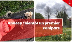 Un premier caniparc sera ouvert aux chiens cet été à Annecy