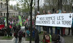 Des manifestants se rassemblement pour soutenir Les Soulèvements de la terre à Paris