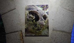 Concarneau : À la découverte des visages de la forêt avec l'exposition "Tronc-Bines"