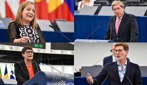 Fake news, utopies et Père Noël, les eurodéputés divisés sur la loi restauration de la nature