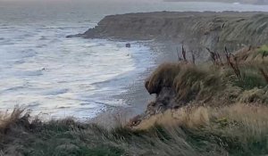 A Wimereux, un corps en deux parties découvert sur la plage.