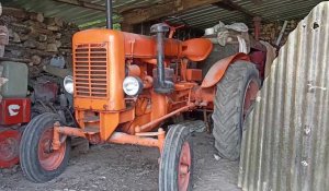 Vieux-Berquin : la famille Pieters passionnée d'anciens tracteurs