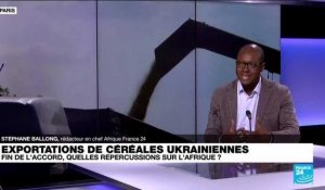 Céréales ukrainiennes : fin de l'accord, quelles répercussions sur l'Afrique ?