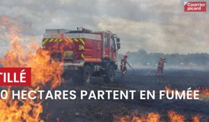 Incendie à Tillé: 20 hectares de chaumes partent en fumée