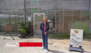 GOMETZ-LA-VILLE (91) : Apihappy, une apiculture ouverte sur le monde