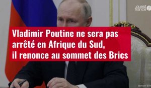 VIDÉO. Vladimir Poutine ne sera pas arrêté en Afrique du Sud, il renonce au sommet des Brics
