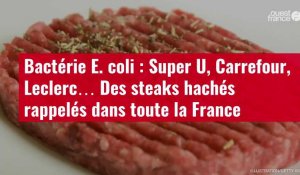 VIDÉO. Bactérie E. coli : Super U, Carrefour, Leclerc… Des steaks hachés rappelés dans toute la France
