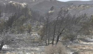 Grèce : l'île de Rhodes noircie par des feux de forêt