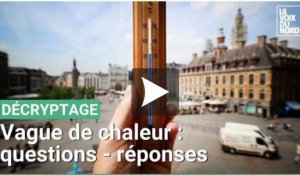 Vague de chaleur :  prévisions et conseils de précaution 