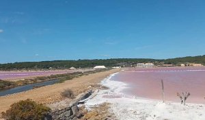 Les salins de Gruissan