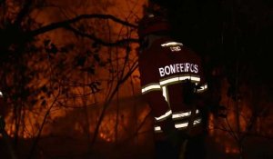 Canicule et incendies frappent le Portugal et l'Espagne
