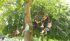 Nantes : séances de grimpe dans les arbres du centre-ville
