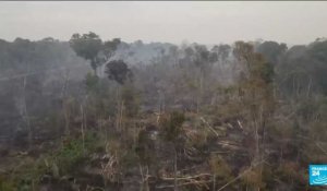 Un sommet pour sauver l'Amazonie : le Brésil reçoit huit états pour lutter contre la déforestation