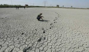 Trop gourmandes en eau, les fermes piscicoles d'Irak mises au régime sec