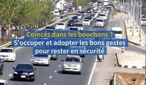 Coincé dans les bouchons ? S'occuper et adopter les bons gestes 