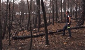 Espagne : la région de Valence vulnérable face au risque d'incendie