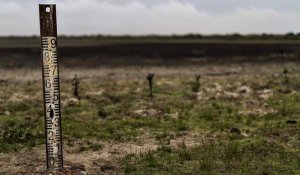 Plus de 260 000 signatures pour protéger le parc espagnol de Doñana