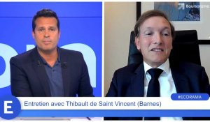 Thibault de Saint Vincent : "On estime la baisse dans l'immobilier de luxe autour de 10% !"