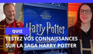 Poudlard, les Horcruxes : testez vos connaissances sur la saga Harry Potter