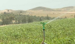 La Tunisie mise sur le dessalement d'eau de mer et sur le retraitement des eaux usées