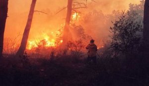 Feu de forêt à Falicon: plus de 100 sapeurs-pompiers mobilisés