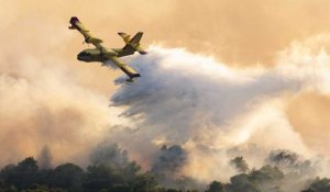 Prévention des incendies de forêt : comment l'Europe prévoit-elle de gérer les incendies dans les années à venir ?
