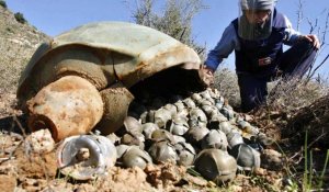 Livraisons de bombes à sous-munitions à l'Ukraine : entre désapprobation et silence en Europe