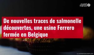 VIDÉO. De nouvelles traces de salmonelle découvertes, une usine Ferrero fermée en Belgique