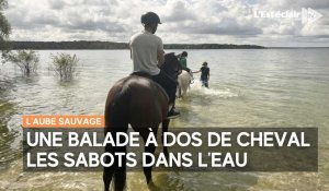 À dos de cheval jusqu’à la plage de Géraudot