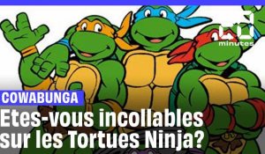Etes-vous incollables sur les Tortues Ninja?