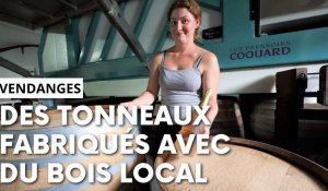 Vendanges: le lycée de Crézancy fabrique ses fûts avec du bois local