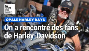 Festival Opale Harley Days : on a rencontré des fans de Harley-Davidson