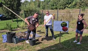 Le Quesnoy : les ateliers du Quercitains plantent un arbre pour symboliser leur arrivée au Quesnoy