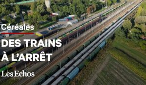 Pourquoi des trains remplis de céréales ukrainiennes attendent à la frontière polonaise