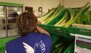 Les Amap se mobilisent pour distribuer des légumes bio au Secours populaire au Havre