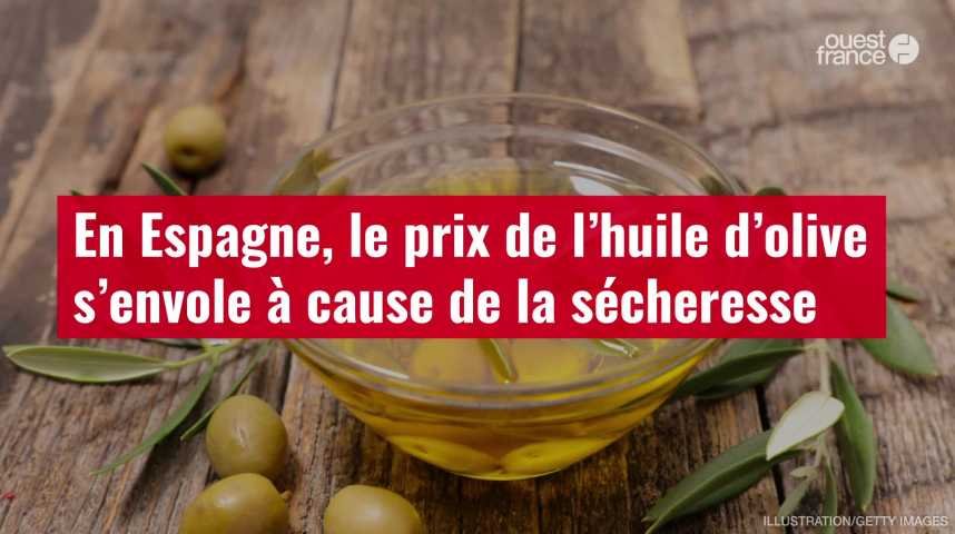 Sécheresse, spéculation… Pourquoi le prix de l'huile d'olive