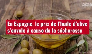 VIDÉO. En Espagne, le prix de l’huile d’olive s’envole à cause de la sécheresse